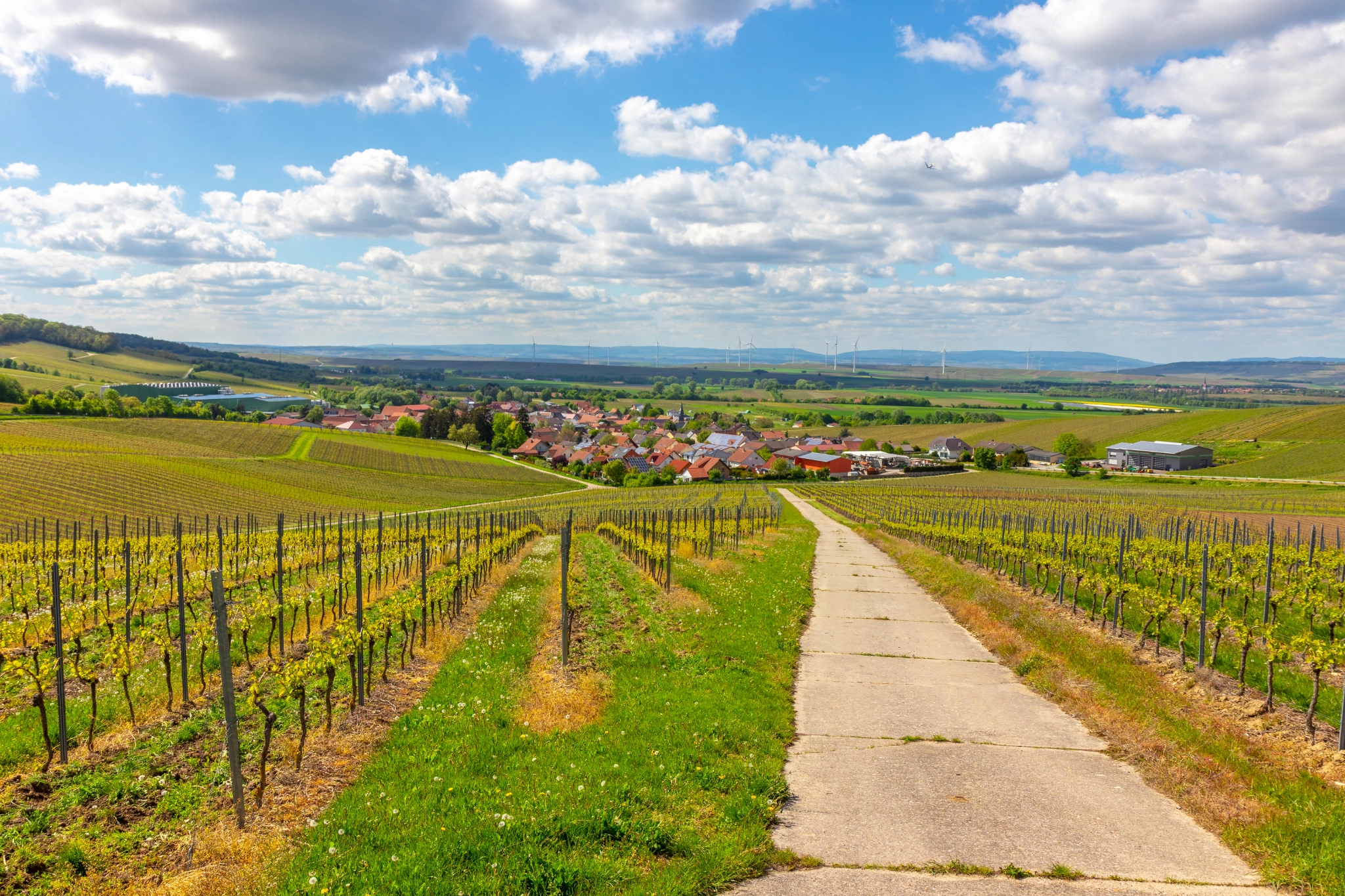 Blick auf Lonsheim aus Süd-Osten